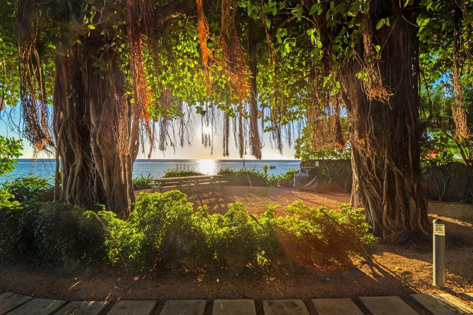 Esplanade By Horizon Holidays